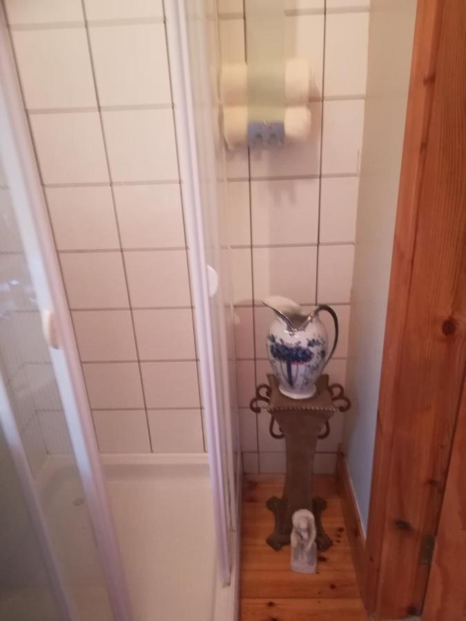 Stay With Your Pet Cill Airne Kültér fotó